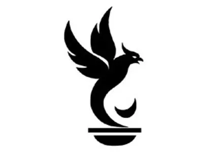 logomir copy.jpg